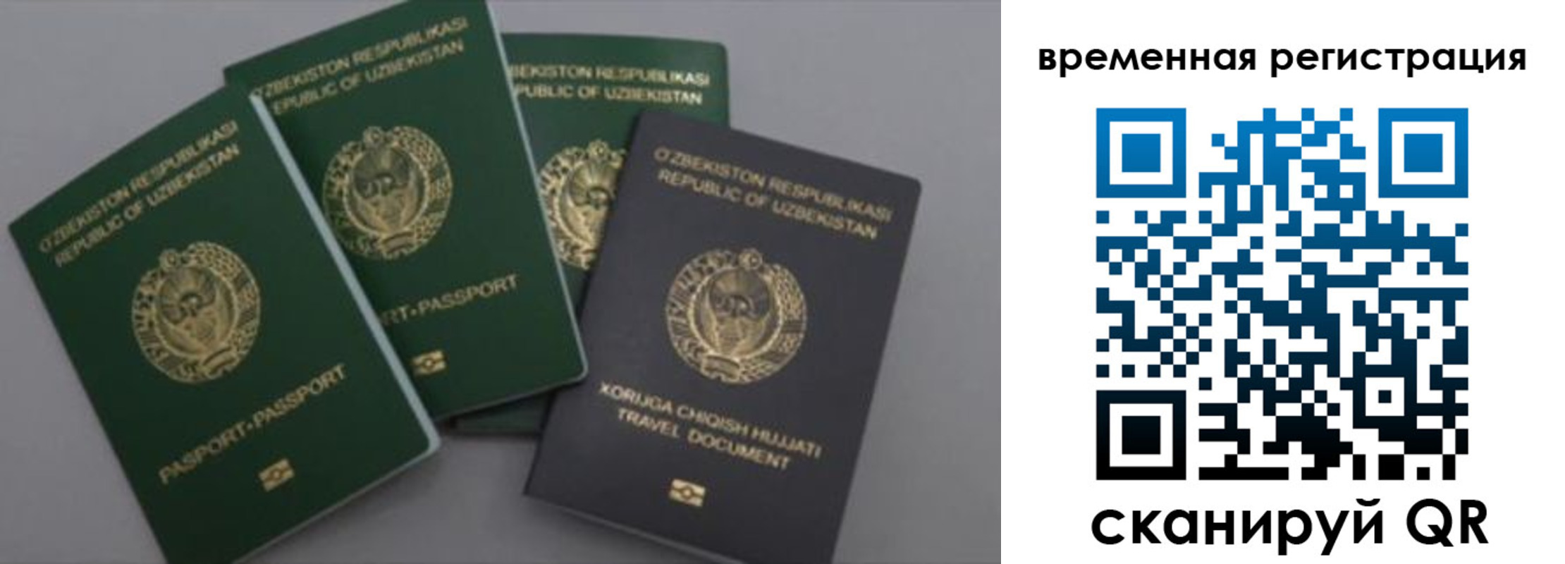 регистрация в Гатчине