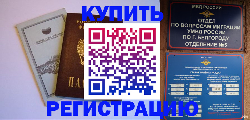 прописка гарантия в Гатчине